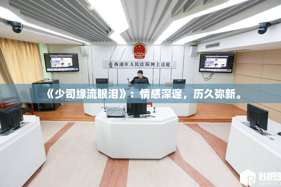 《少司缘流眼泪》：情感深邃，历久弥新。