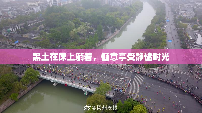 黑土在床上躺着，惬意享受静谧时光