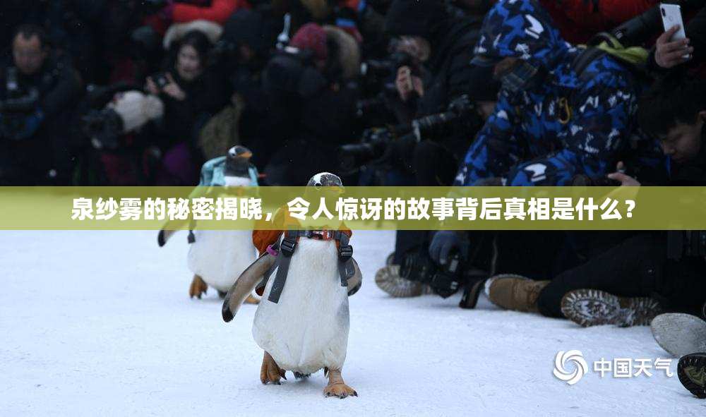 泉纱雾的秘密揭晓，令人惊讶的故事背后真相是什么？