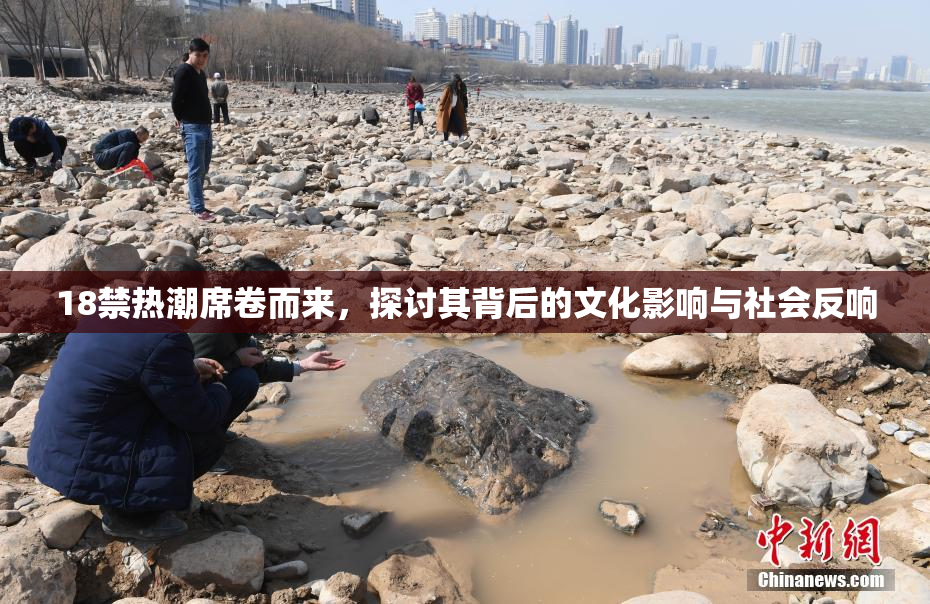 18禁热潮席卷而来，探讨其背后的文化影响与社会反响