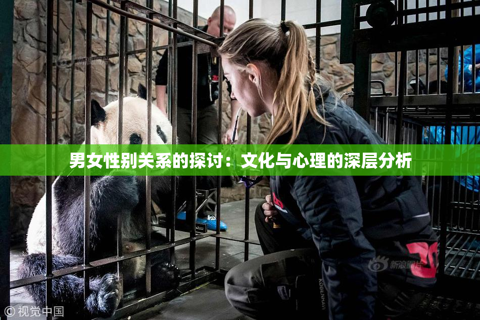 男女性别关系的探讨：文化与心理的深层分析