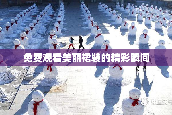 免费观看美丽裙装的精彩瞬间