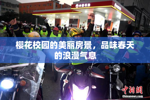 樱花校园的美丽房景，品味春天的浪漫气息