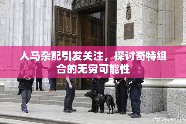 人马杂配引发关注，探讨奇特组合的无穷可能性