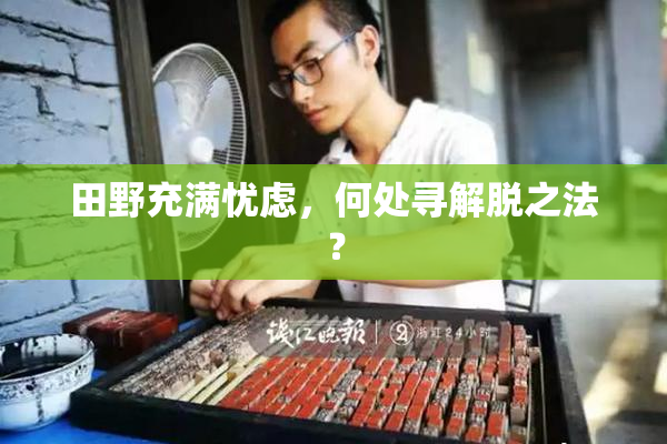 田野充满忧虑，何处寻解脱之法？