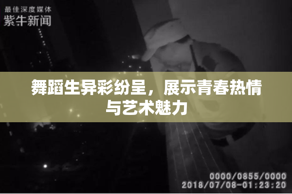 舞蹈生异彩纷呈，展示青春热情与艺术魅力