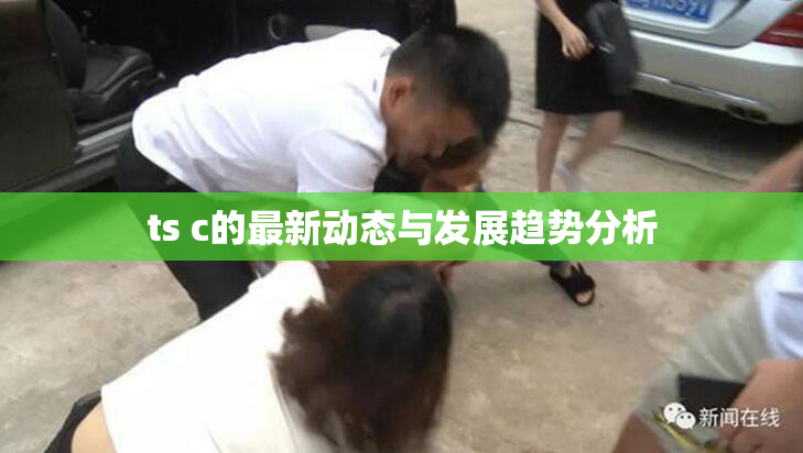 ts c的最新动态与发展趋势分析