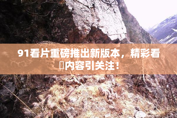 91看片重磅推出新版本，精彩看婬内容引关注！