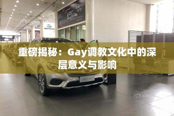 重磅揭秘：Gay调教文化中的深层意义与影响