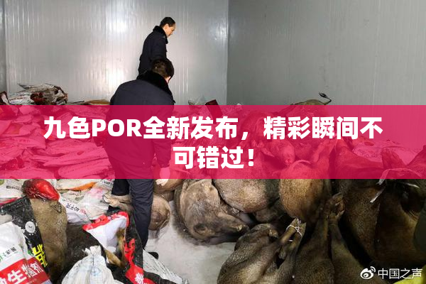 九色POR全新发布，精彩瞬间不可错过！
