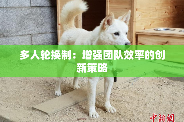 多人轮换制：增强团队效率的创新策略