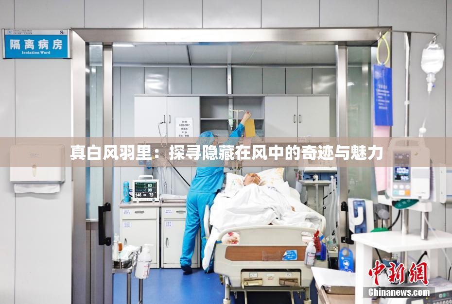 真白风羽里：探寻隐藏在风中的奇迹与魅力