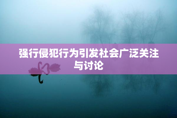 强行侵犯行为引发社会广泛关注与讨论