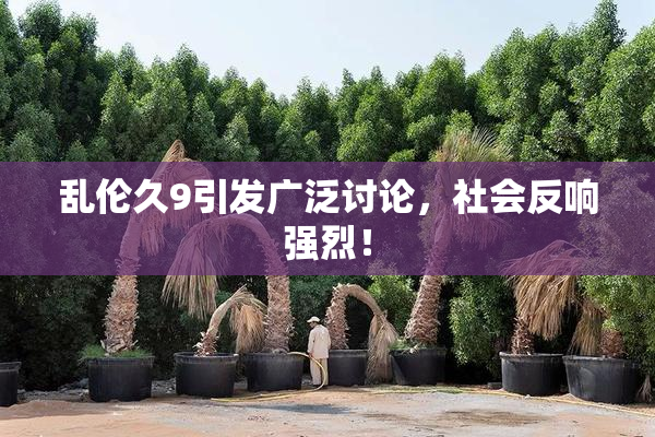 乱伦久9引发广泛讨论，社会反响强烈！