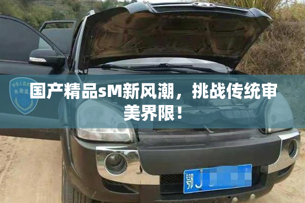 国产精品sM新风潮，挑战传统审美界限！