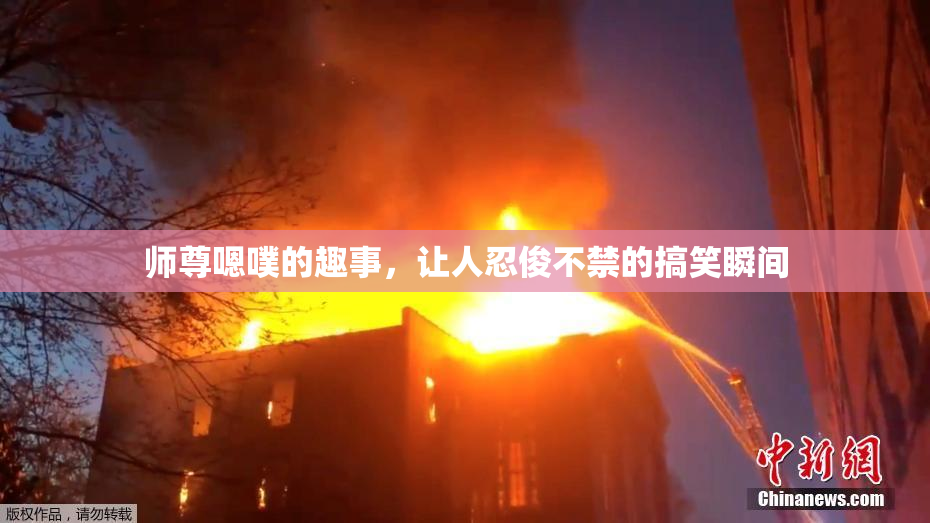 师尊嗯噗的趣事，让人忍俊不禁的搞笑瞬间