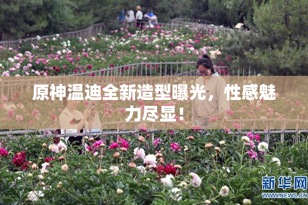 原神温迪全新造型曝光，性感魅力尽显！