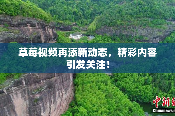 草莓视频再添新动态，精彩内容引发关注！