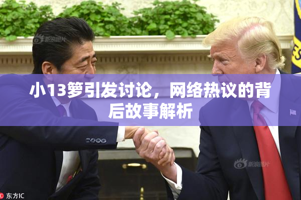 小13箩引发讨论，网络热议的背后故事解析