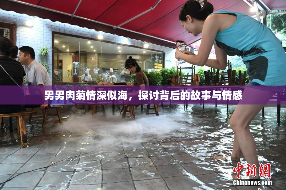 男男肉菊情深似海，探讨背后的故事与情感