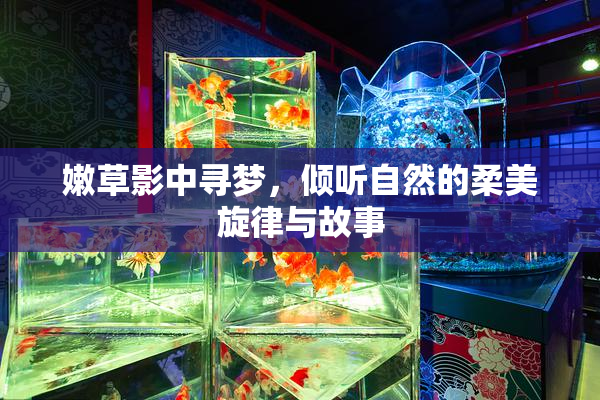 嫩草影中寻梦，倾听自然的柔美旋律与故事