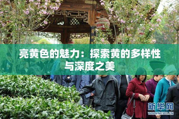 亮黄色的魅力：探索黄的多样性与深度之美