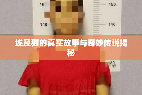 埃及猫的真实故事与奇妙传说揭秘