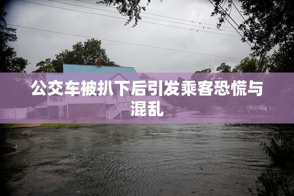 公交车被扒下后引发乘客恐慌与混乱