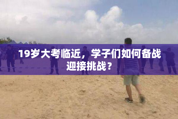 19岁大考临近，学子们如何备战迎接挑战？