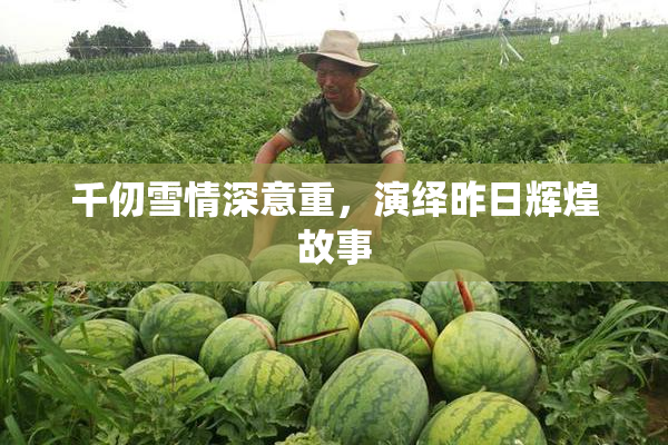 千仞雪情深意重，演绎昨日辉煌故事