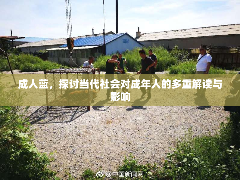 成人蓝，探讨当代社会对成年人的多重解读与影响