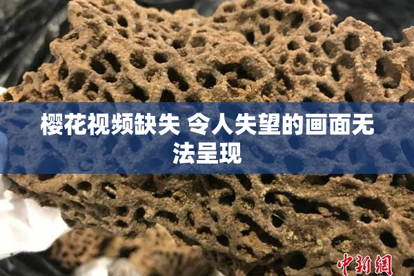 樱花视频缺失 令人失望的画面无法呈现