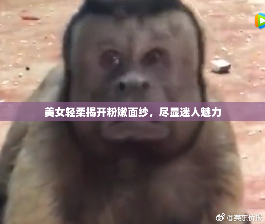 美女轻柔揭开粉嫩面纱，尽显迷人魅力