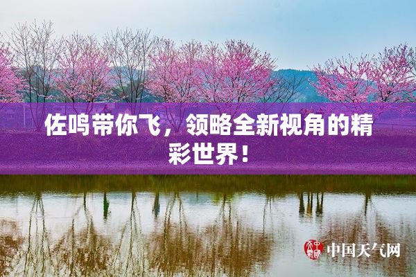 佐鸣带你飞，领略全新视角的精彩世界！
