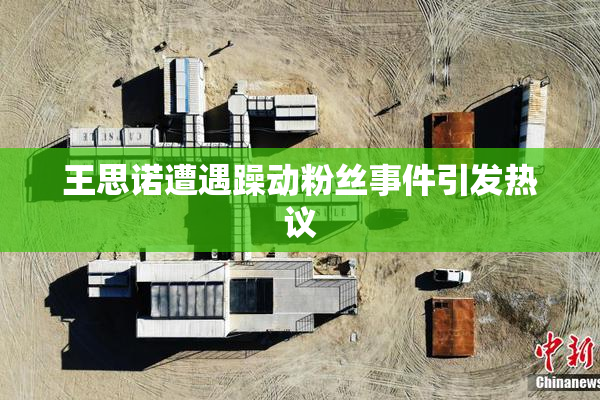 王思诺遭遇躁动粉丝事件引发热议