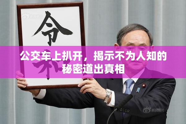 公交车上扒开，揭示不为人知的秘密道出真相
