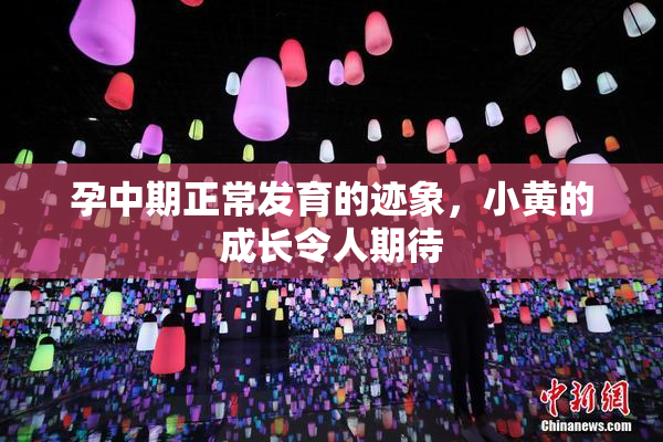 孕中期正常发育的迹象，小黄的成长令人期待
