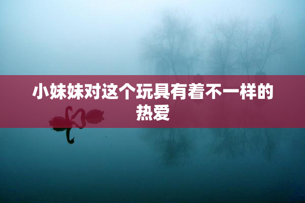 小妹妹对这个玩具有着不一样的热爱