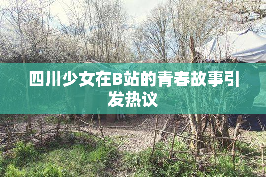 四川少女在B站的青春故事引发热议