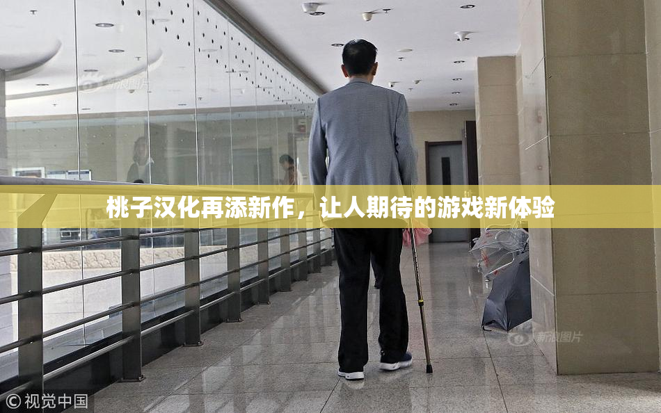 桃子汉化再添新作，让人期待的游戏新体验