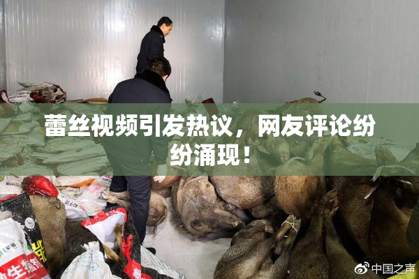 蕾丝视频引发热议，网友评论纷纷涌现！