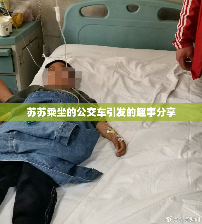 苏苏乘坐的公交车引发的趣事分享