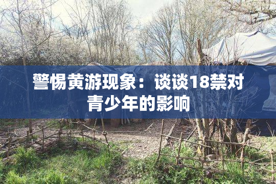 警惕黄游现象：谈谈18禁对青少年的影响
