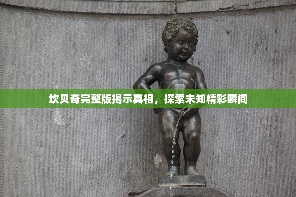 坎贝奇完整版揭示真相，探索未知精彩瞬间