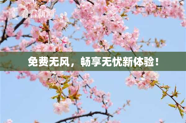 免费无风，畅享无忧新体验！