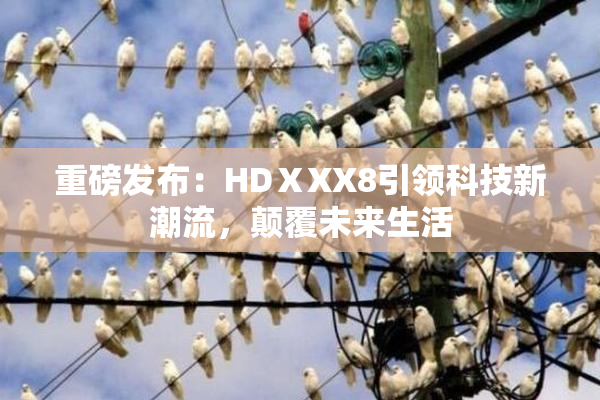 重磅发布：HDⅩXX8引领科技新潮流，颠覆未来生活