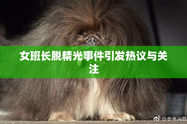 女班长脱精光事件引发热议与关注