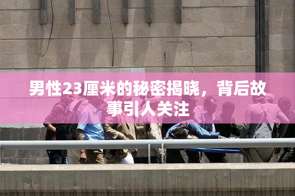 男性23厘米的秘密揭晓，背后故事引人关注