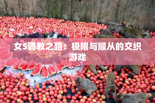女S调教之路：极限与顺从的交织游戏