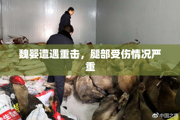 魏婴遭遇重击，腿部受伤情况严重